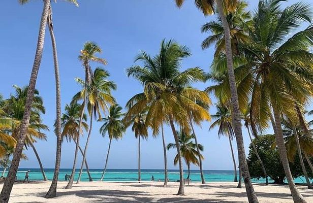 Saona Island Tour from Punta Cana All Inclusive