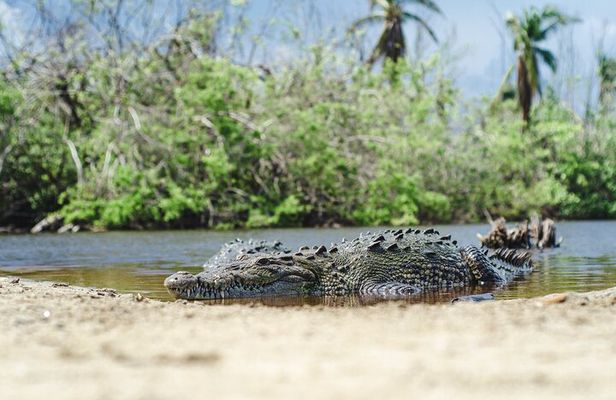 Half-Day Tour to Ventanilla, Mazunte, Zipolite and Puerto Angel