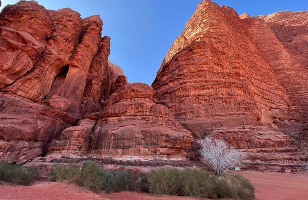 Private 1 Day Wadi Rum Desert Tour