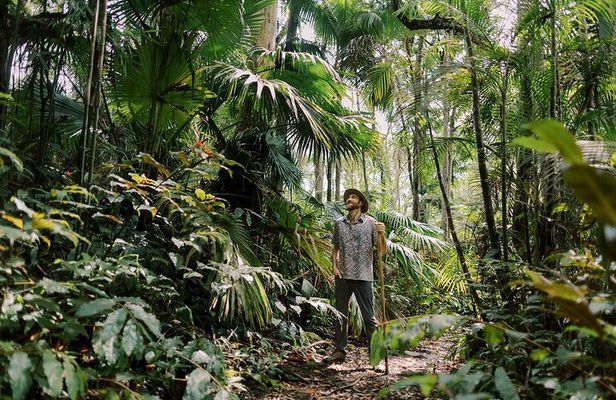 Cloud Forest Sanctuary Jungle Tour