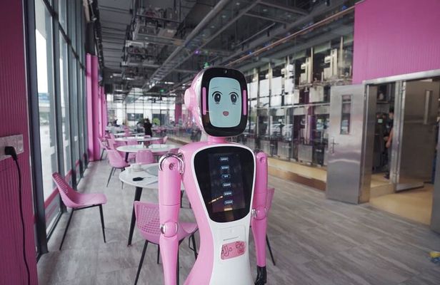 Private Guangzhou High-Tech Tour AI Robot Auto Drive Bus and More