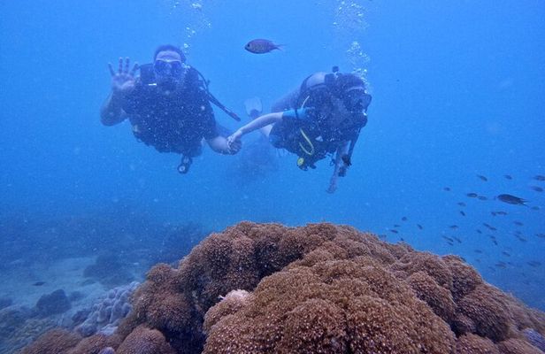 [GROUP] SCUBA DIVING For Beginners in Phu Quoc Island (TRY DIVE)