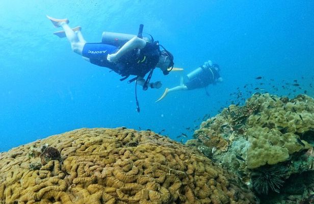 [GROUP] SCUBA DIVING for Certified Divers in Phu Quoc Island
