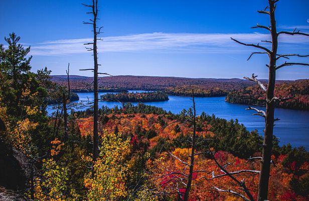 Algonquin Provincial Park Full Day Trip