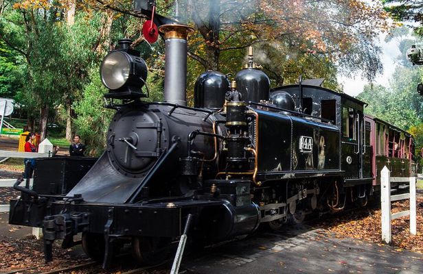 Puffing Billy And Phillip Island Penguin Parade Bus Tour