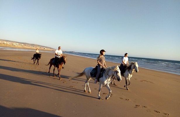 Agadir/Taghazout Horse Ride on the beach