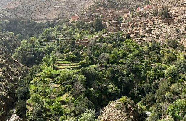 Amizmiz: Berber Villages & Atlas Mountains Tour