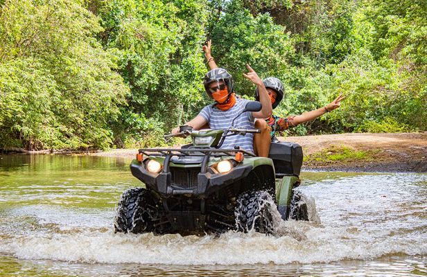 Sunset & Wildlife Tour