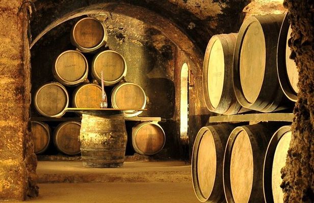 Rioja wine region with visit to winery & Vitoria-Gasreiz