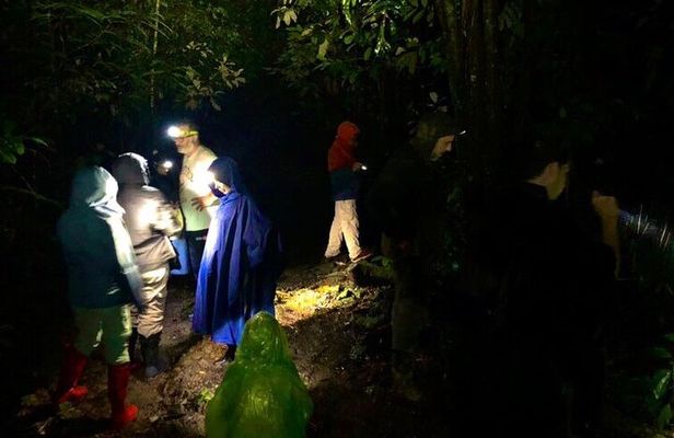Sarapiqui Rainforest Night Walk : Wildlife & Adventure.