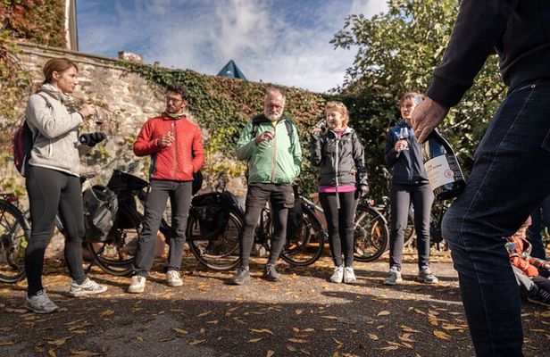 Guided tour of Beaujolais by electric bike and wine tasting