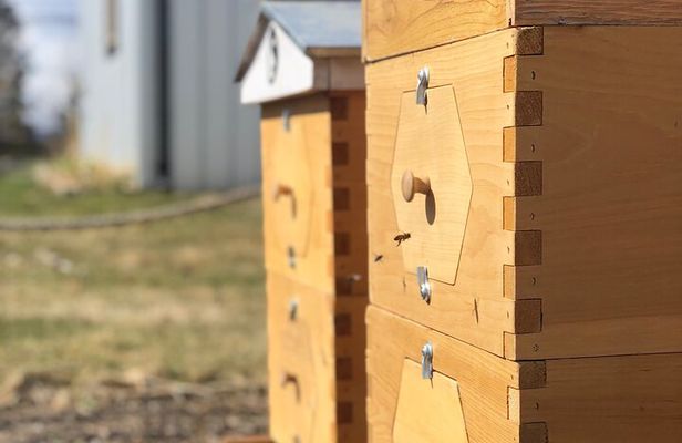 Okanagan Bee Tour and Lunch at Winery