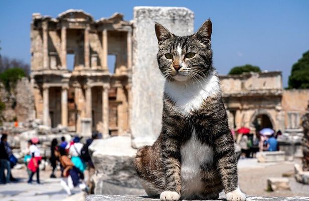 Private Ephesus Tour from Kusadasi