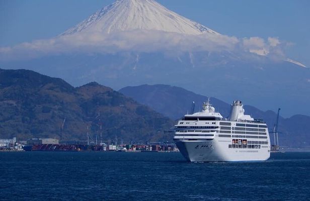 Private Sightseeing Tour from Shimizu Port /Small Bus