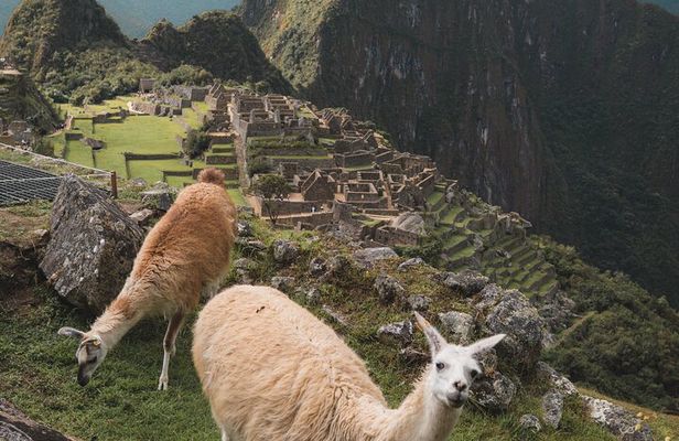 Full Day Tour to Machu Picchu