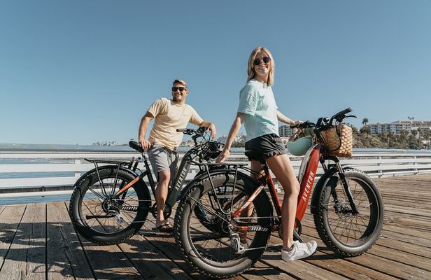 Electric Bike Tours
