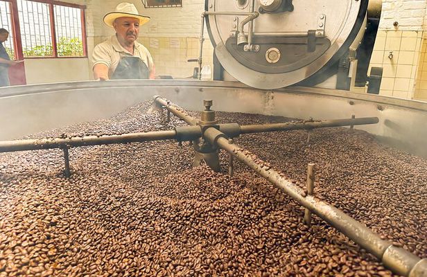 Full Day learning about the Process of the Best Coffee in the World