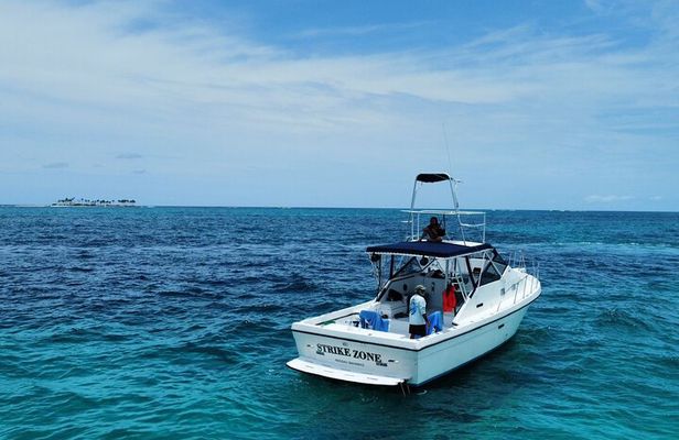 Private 38' Defender Sportfishing/Swim with Pigs in Nassau
