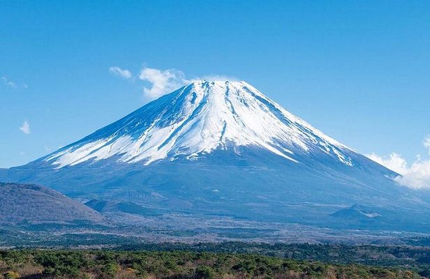 Mt.Fuji, Oishi Park & Arakurayama Sengen Park Bus Tour From Tokyo