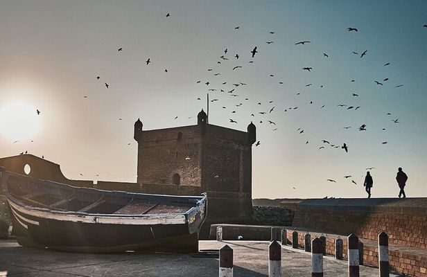 Full Day Tour To Essaouira From Marrakech