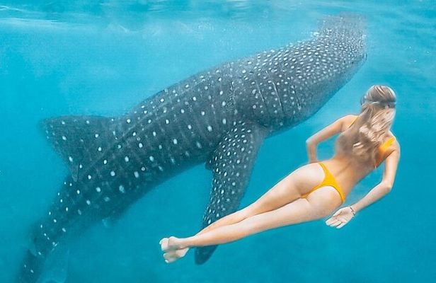 Discover South Ari Atoll - Full Day Tour from Male city