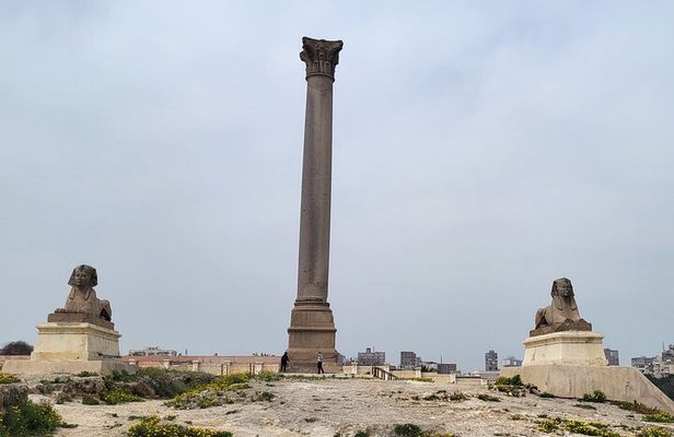 Private Day Tour to Alexandria with Lunch