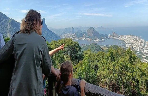 Half-Day Jeep Tour in Rio's Tijuca Rainforest and Scenic