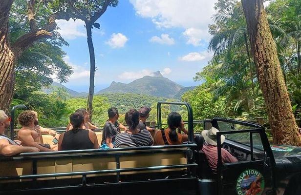 Half-Day Jeep Tour in Rio's Tijuca Rainforest and Scenic