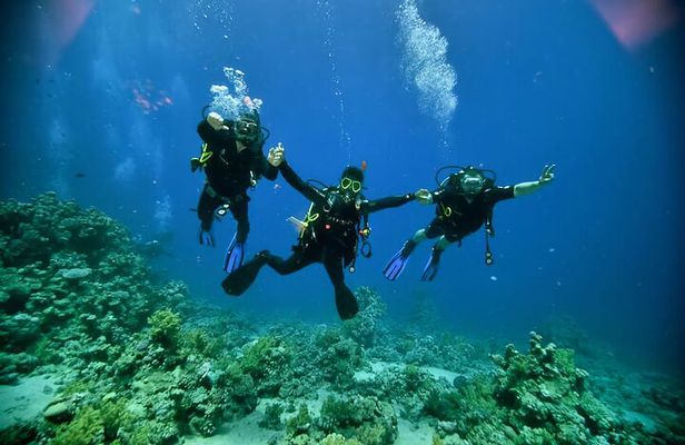 Diving And Snorkeling To Ras Mohamed And White Island By VIP Boat