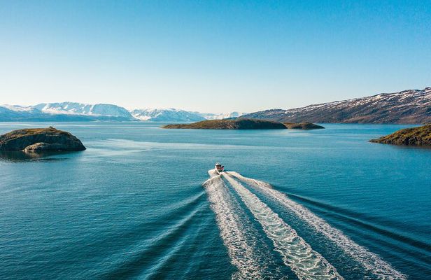 Alta: 2 Hours Guided Adventure Cruise in Alta Fjord