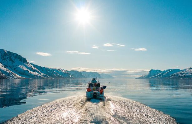 Alta: 3 Hours Guided Adventure Cruise in Alta Fjord