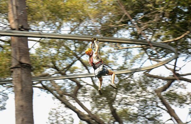 Jungle Flight Zipline Adventure From Chiang Mai
