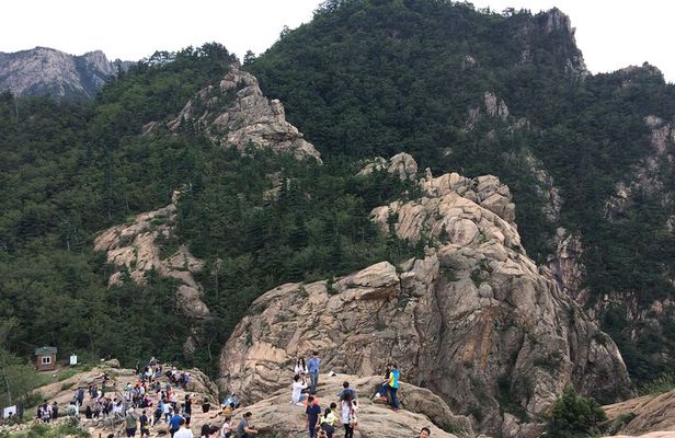 Full-Day Tour in Mt. Seorak & Nami (+Rail Bike Option)