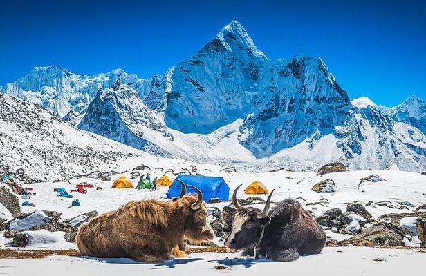 Everest Base Camp Trek 14 days With Expedia Holiday 