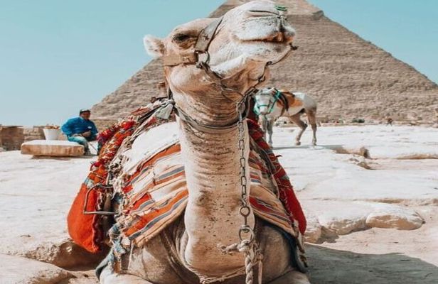 Discover the Treasures of Cairo: Small Group Tour from Hurghada