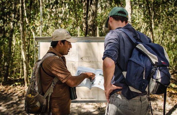 Calakmul Ancient Maya City Tour From Xpujil