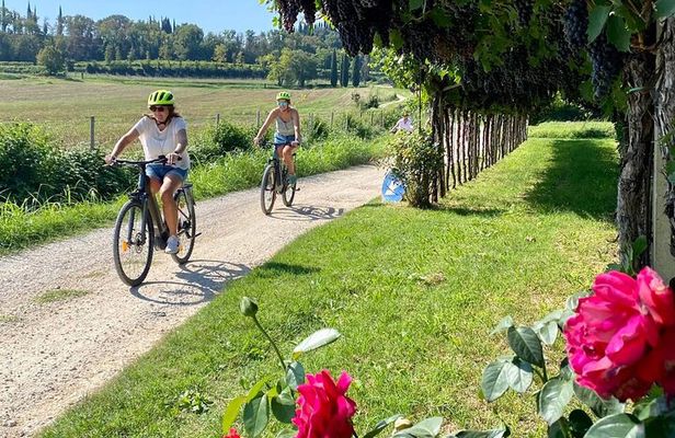 E-Bike Tour and wine tasting in Lazise Countryside