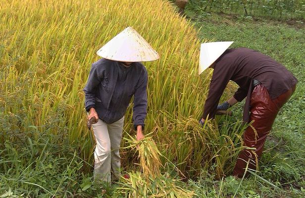 Private Cycling Tour in Rural Hue with Farming Experience