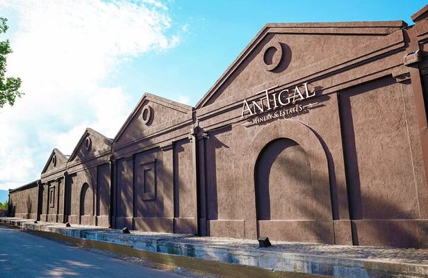 3 Wineries & Olive Oil Experience with Private Transport