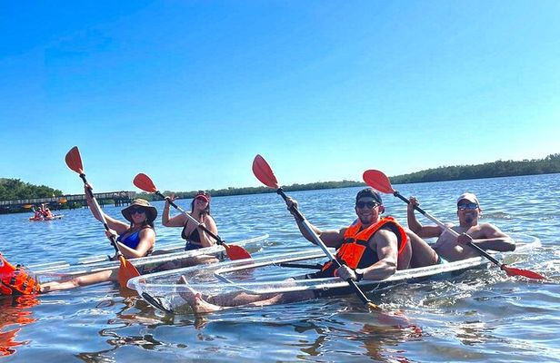 Clear Kayak Private Guided Day and Night Tours in Florida