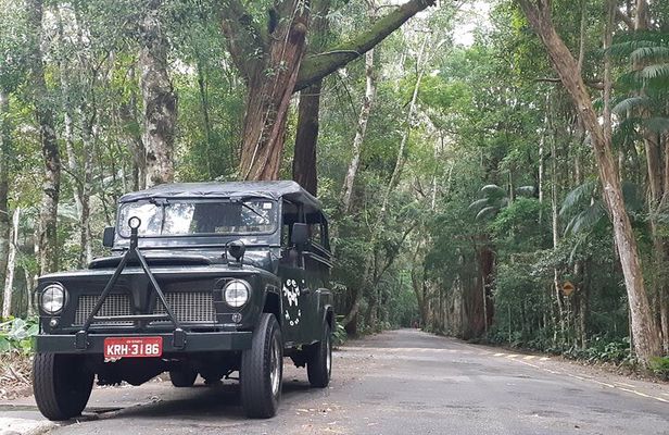 Jeep Tour Botanical Garden and Tijuca Rainforest with Tickets