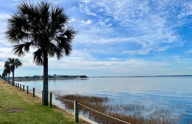 Charleston Bird Watching Tour