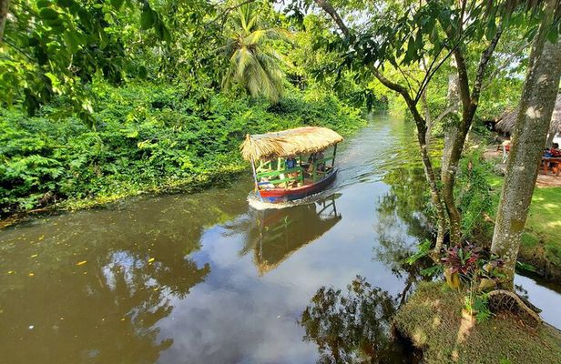 Jungle Safari Excursion