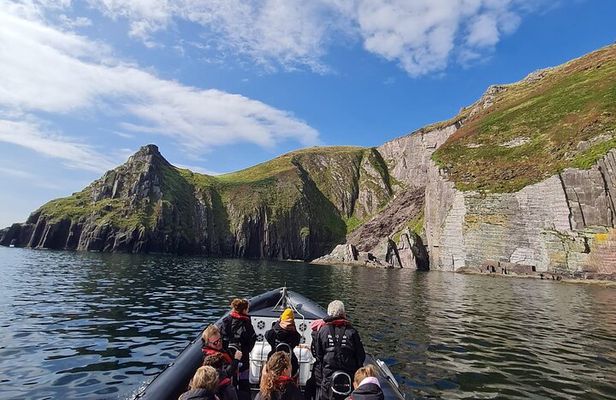 Blasket Island Sea Life Rib Tour,