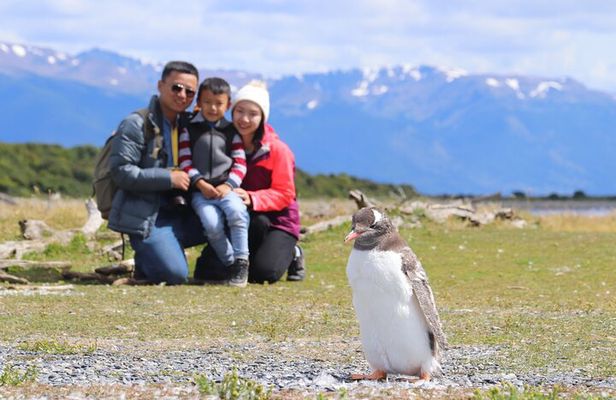 Ushuaia Half-Day Tour Beagle Canal Walking Among Pinguins