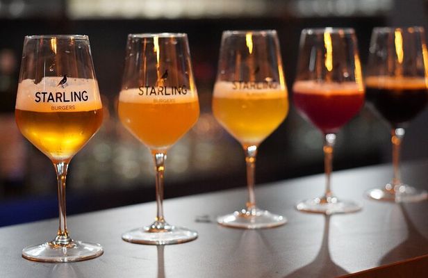 Local Craft Beer Tasting in Strasbourg