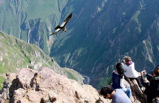 Full Day Tour to Colca from Arequipa
