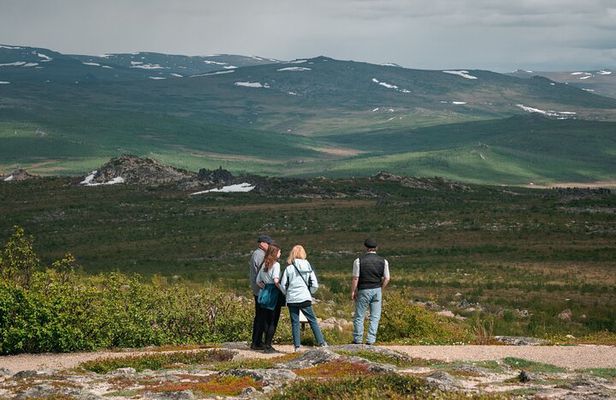 Full Day Arctic Circle Experience with Lunch