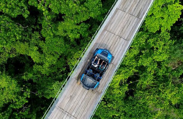 Jorullo Bridge Rzr Tour