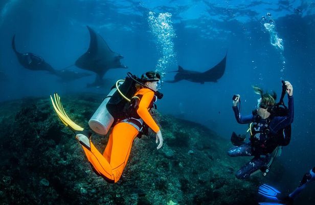 Diving in Nusa Penida